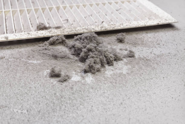 Best Ventilation Cleaning Services  in Forrest, IL