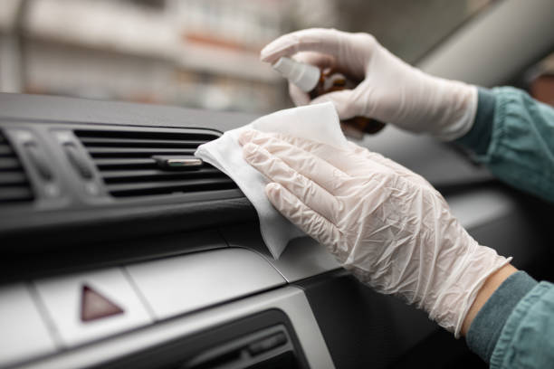 Best Air Duct Mold Removal  in Forrest, IL