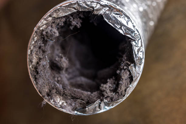 Best HVAC System Cleaning  in Forrest, IL
