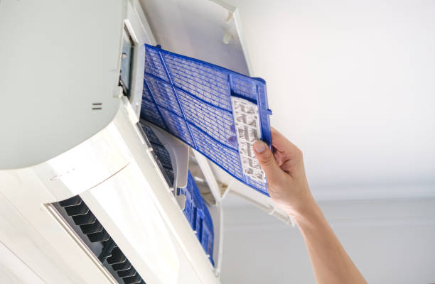 Best Affordable HVAC Duct Cleaning  in Forrest, IL