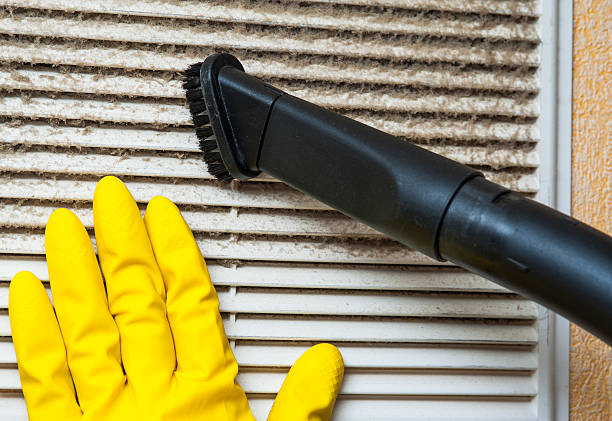 Best Local Air Duct Cleaning Services  in Forrest, IL